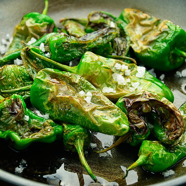 Pimientos de Padrón